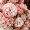 Мастерская Анны Громовой "Букет"