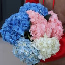 Букет из 7 гортензий микс