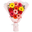 Букет из разноцветных гербер Премиум
