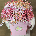 Коробка с цветами «Композиция Разноцветной Гипсофилы»