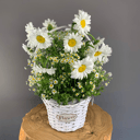 Корзина летних ромашек из ромашек