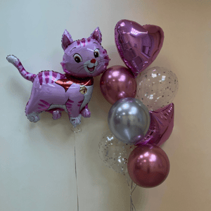 Набор шаров с гелием 567 -котик