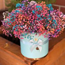 Композиция «Улыбочка» из гипсофил