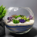 Композиция «Флорариум котик»