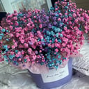 Шляпная коробка с цветами «Композиция Радужной Гипсофилы»