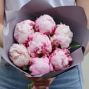 Букет «7 отборных пионов»