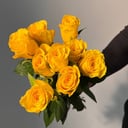 Букет из 9 желтых роз