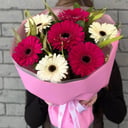 Букет из 7 гербер