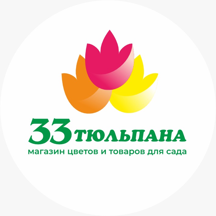 33 тюльпана