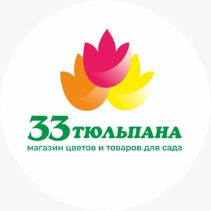 33 тюльпана