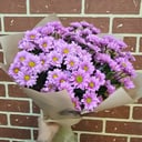 Монобукет из мелких ромашек из хризантем