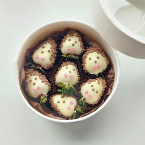 Клубника в шоколаде Ёжики