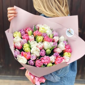 Букет из 47 пионовидных тюльпанов