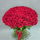 Букет из 101 розы Эквадор 70 см