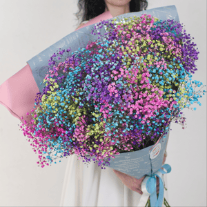 Букет цветов из 25 радужных гипсофил