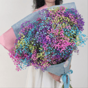 Букет цветов из 25 радужных гипсофил