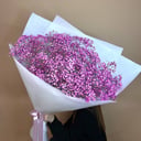 Букет гигант из розовых гипсофил