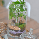 экосистема дом