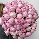 Букет пионов розовых 45 цветков