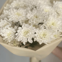 Букет Хризантема Кустовая 5 шт