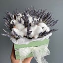 Хлопок и лаванда