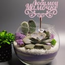 Композиция «Флорариум для мамы»