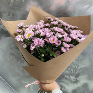Букет «Хризантема Сантини Росси Pink»