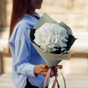 Белая гортензия в упаковке 1 штука