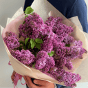 Маленький букет из сирени