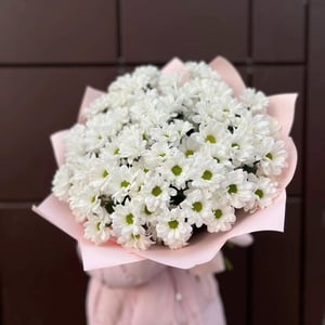 Букет из 11 ромашковых хризантем