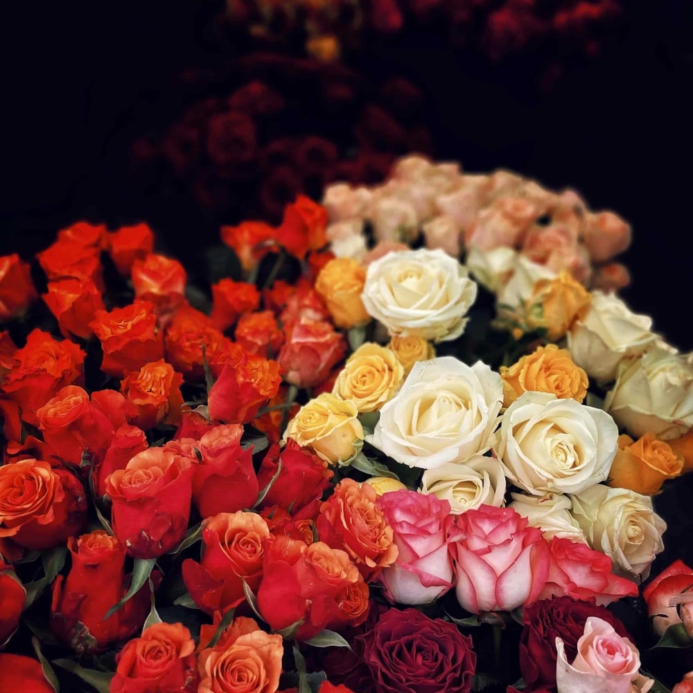 Flowers AE