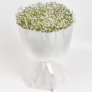 Букет белых гипсофил, 11 шт