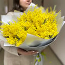 Букет «Мимоза солнечная»