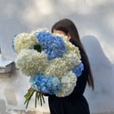 Букет «Микс 15 гортензий белых и голубых 💙»