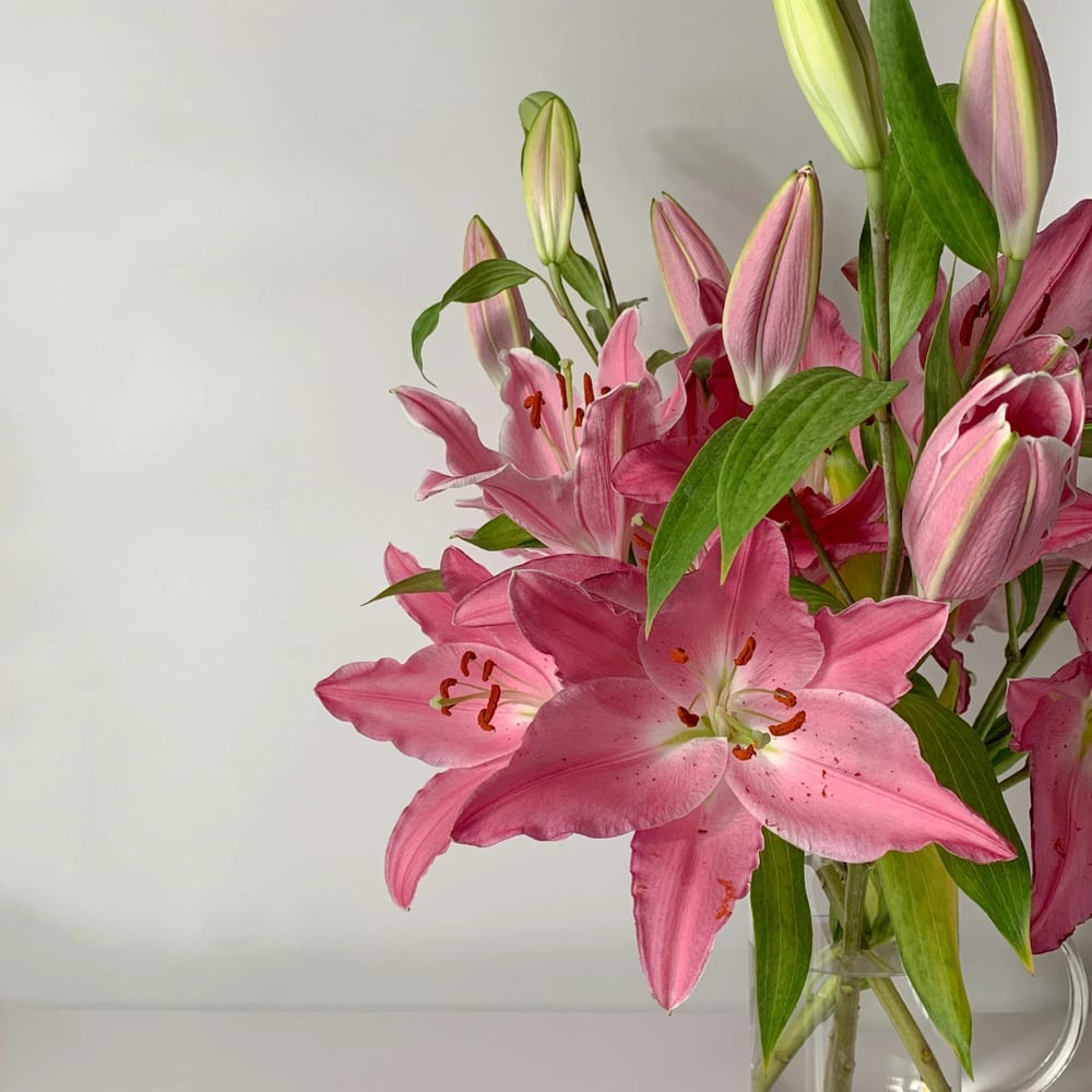 Lilies flower delivery