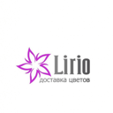 Lirio flo