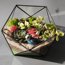 Флорариум "Романтика"