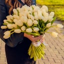 Белые тюльпаны 71 шт