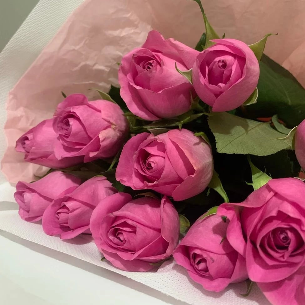 Flowers in Dubai Motor City