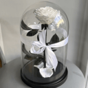 Роза в колбе Кинг Сайз белая