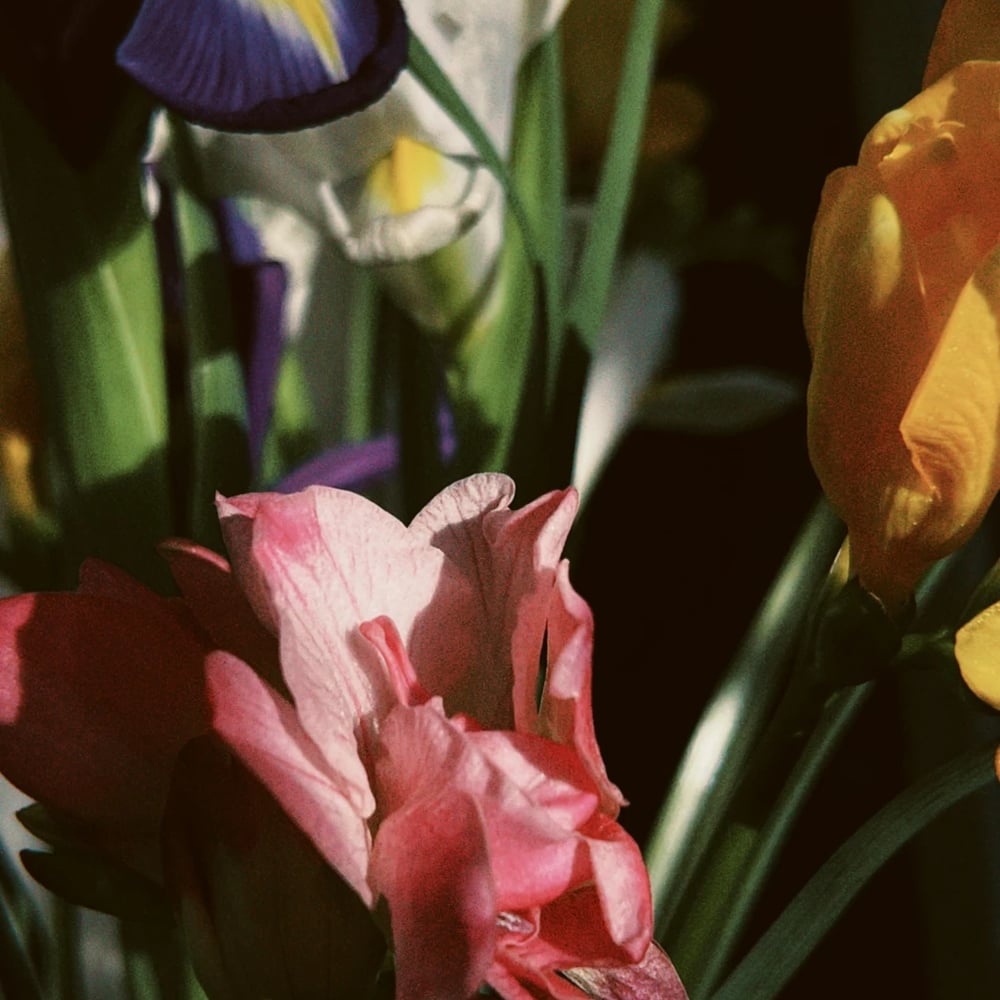 Fresh irises bouquet