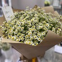 Букет из полевых ромашек (танацетум)