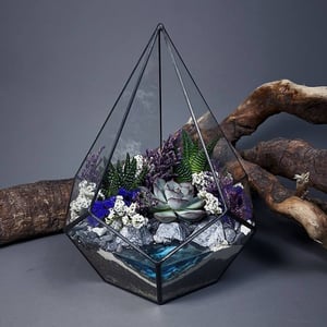 Флорариум с суккулентами Цветы у озера