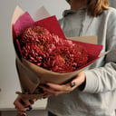 Букет «5 хризантем Бигуди бордо»