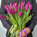 Букет «21 тюльпан»