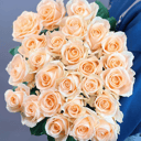 Букет из 25 роз сорта Пич Аваланж