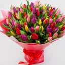 Букет 101 тюльпан "Весенний микс"