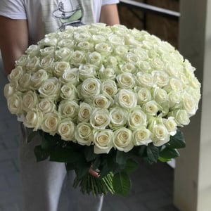 Букет из 101 белой розы