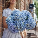 Букет «Голубая гортензия 7 штук»