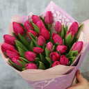 Букет из 25 малиновых тюльпанов